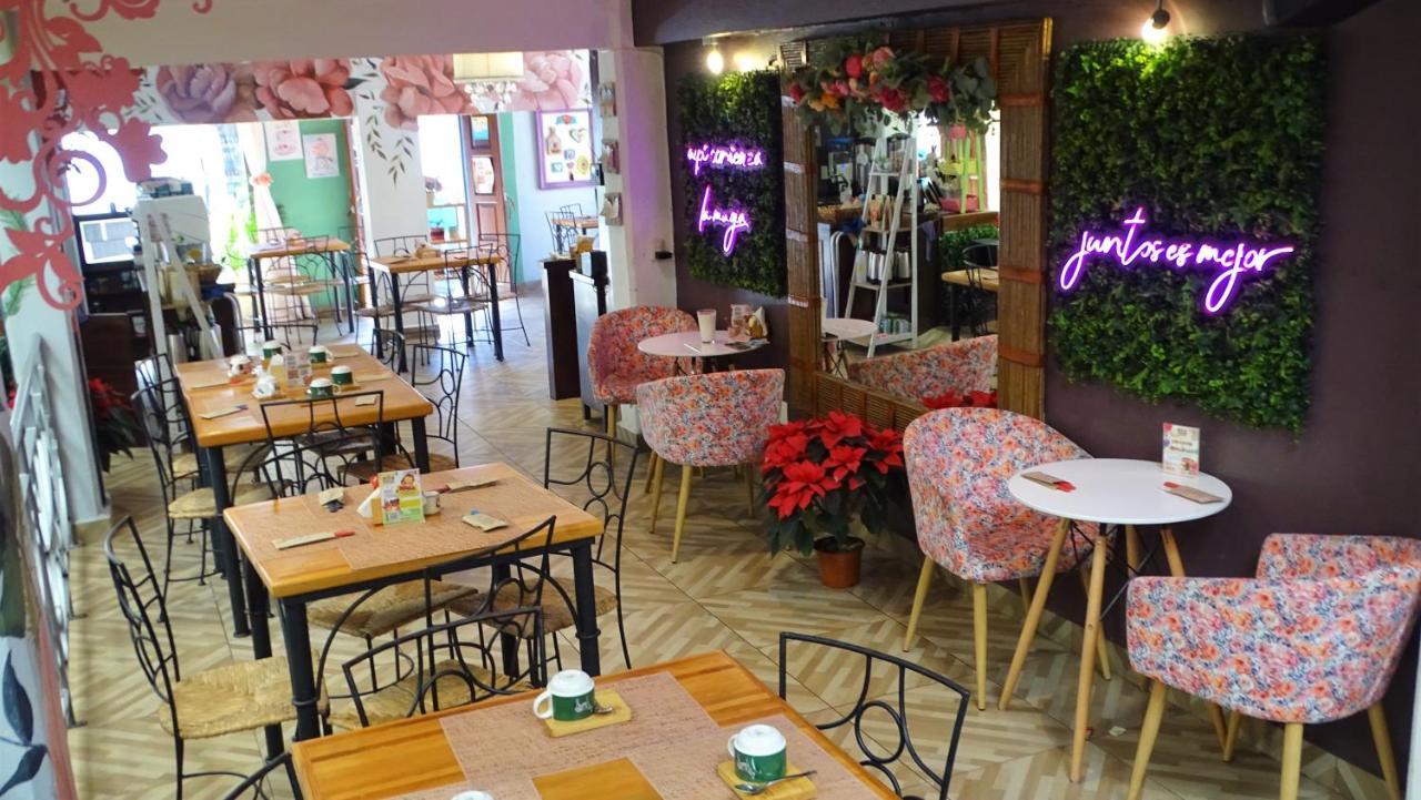 Hotel Jardines Del Centro San Cristóbal de Las Casas エクステリア 写真