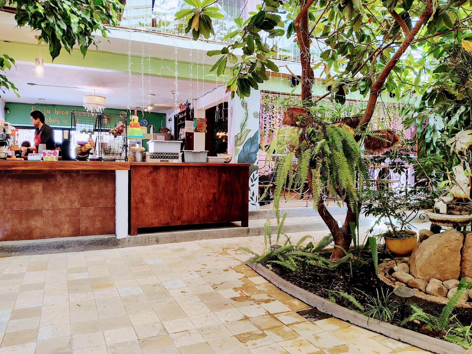 Hotel Jardines Del Centro San Cristóbal de Las Casas エクステリア 写真