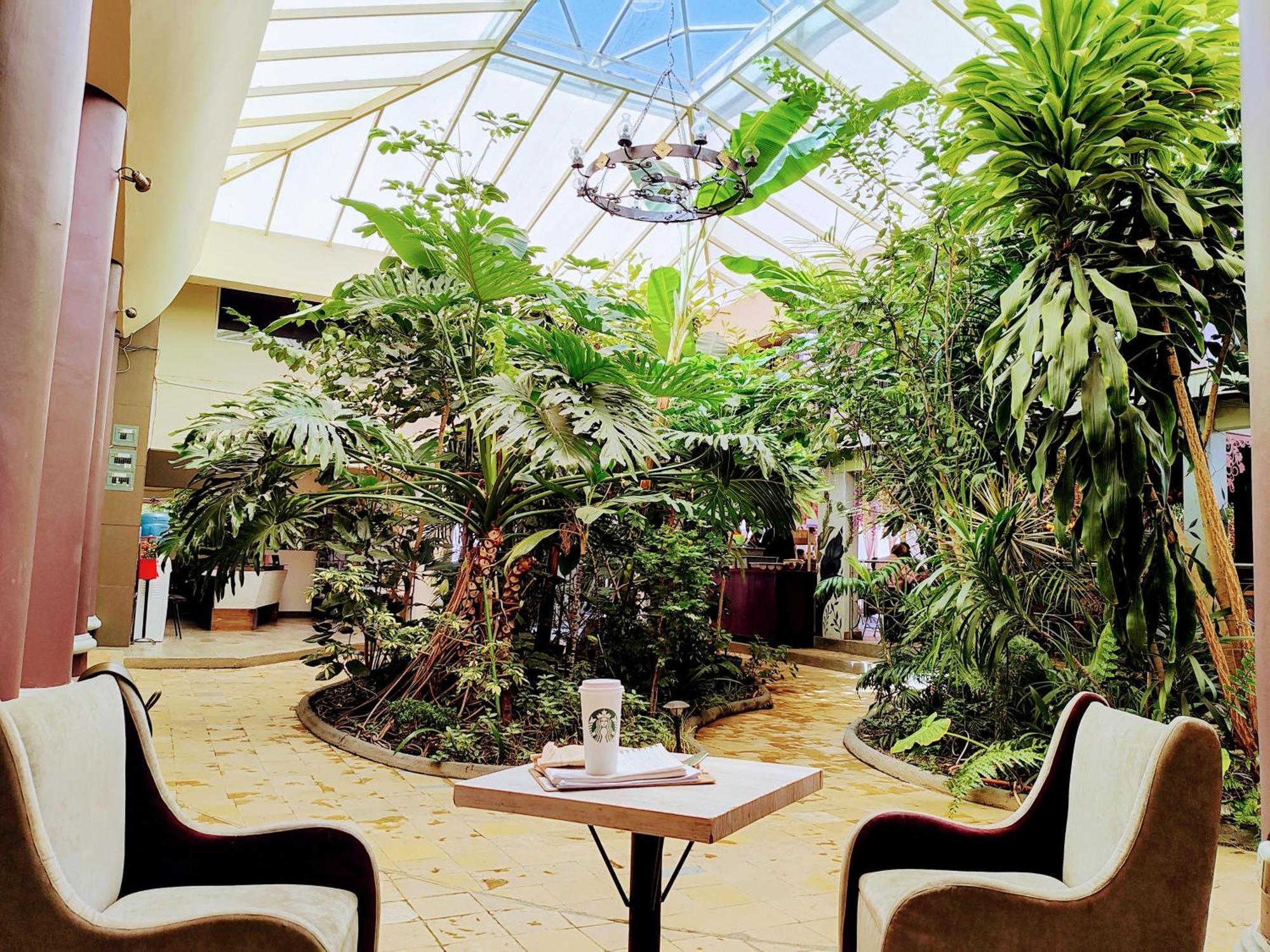 Hotel Jardines Del Centro San Cristóbal de Las Casas エクステリア 写真